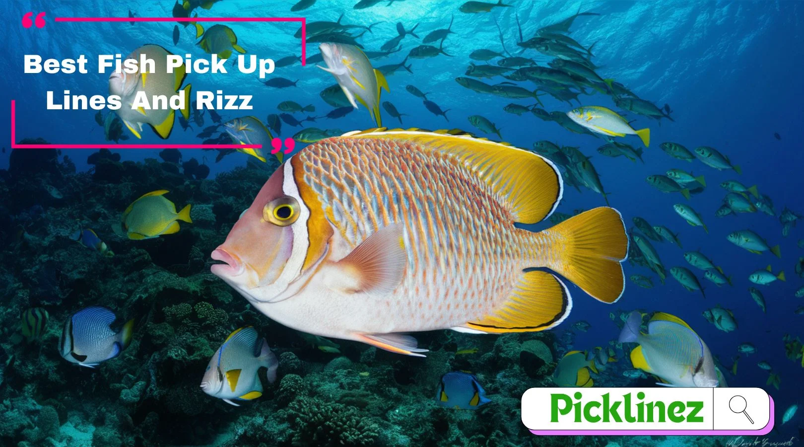 Best Fish Pick Up Lines And Rizz