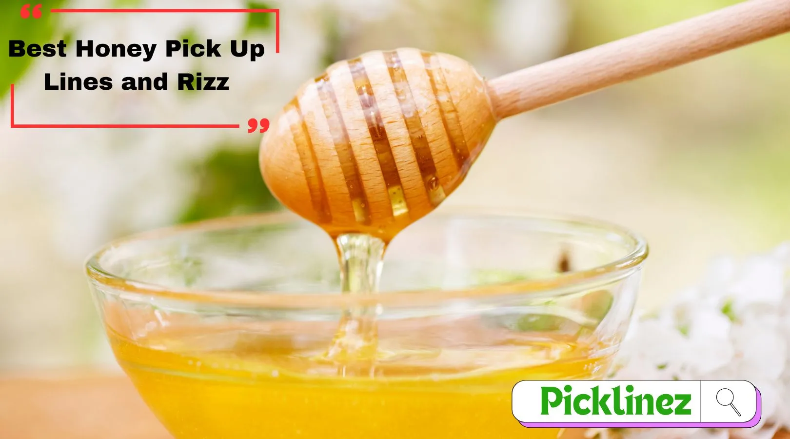 Best Honey Pick Up Lines and Rizz